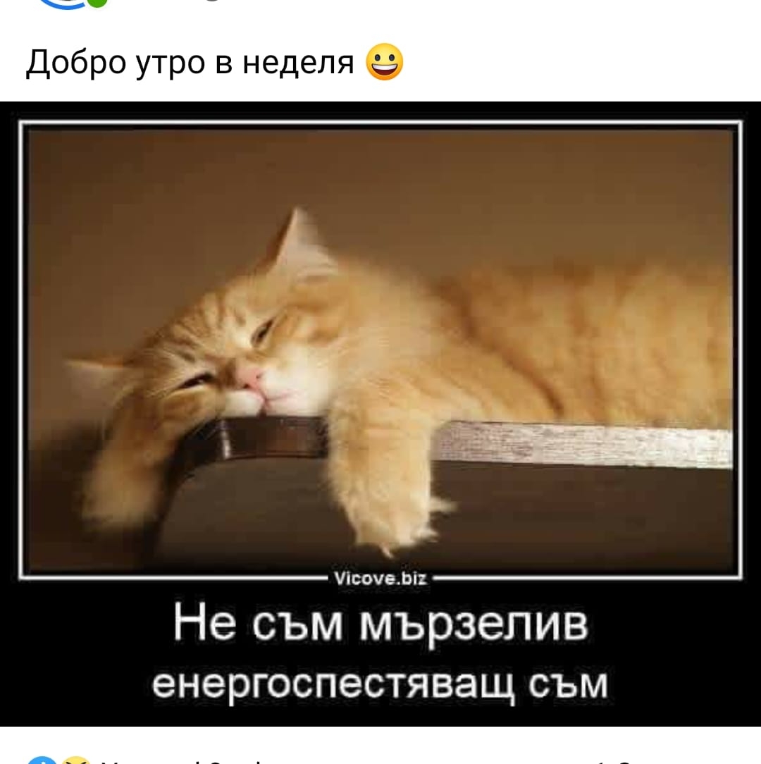 76645624_169830747546656_5611673495789371392_n
